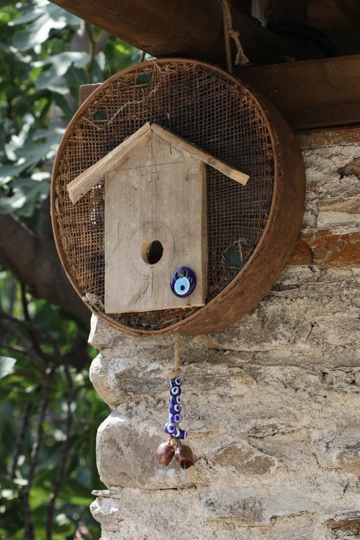 Yeni Gelin Evi Apartamento Birgi Exterior foto